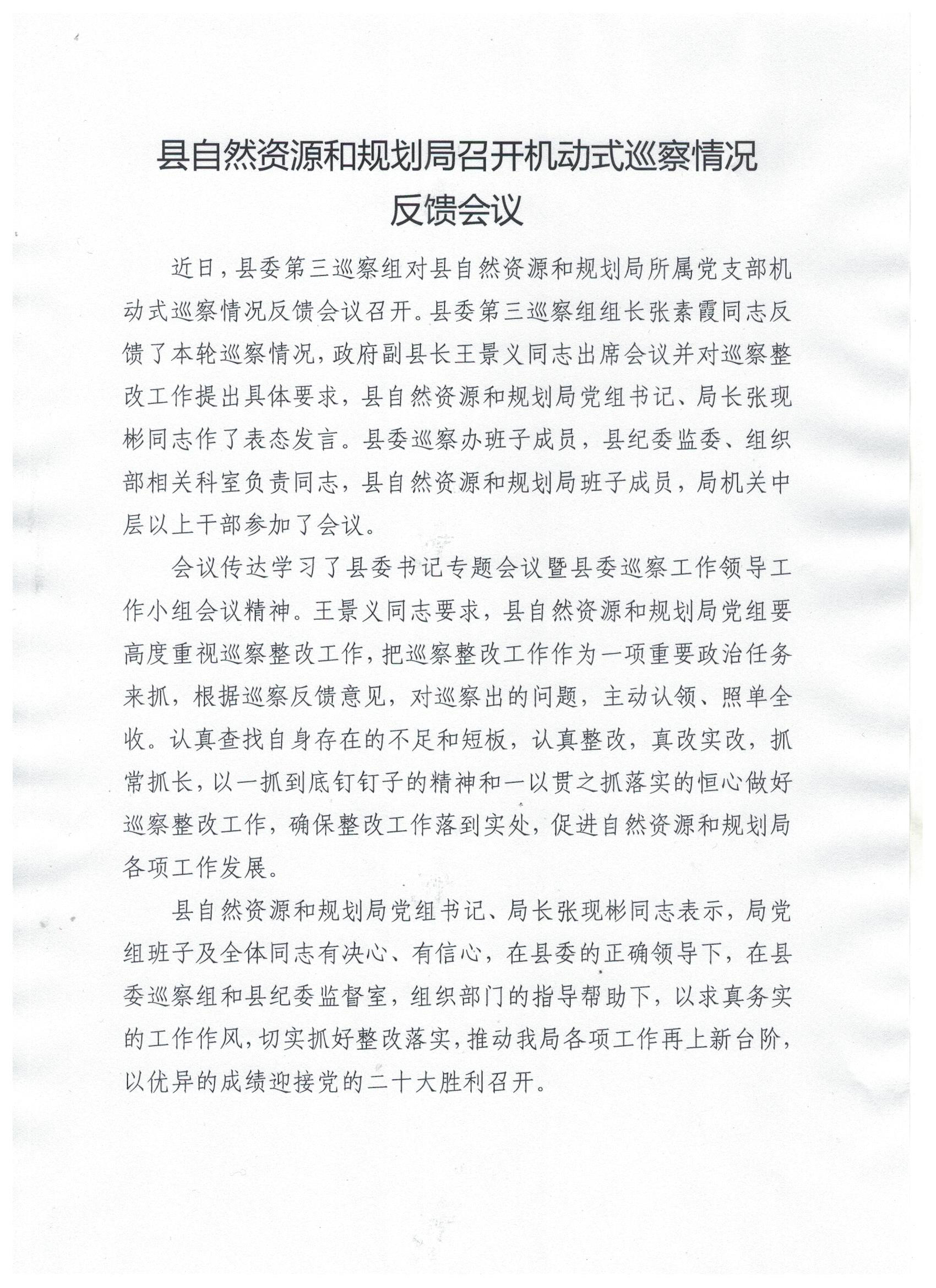 隆尧县自然资源和规划局召开机动式巡察情况反馈会议.jpeg